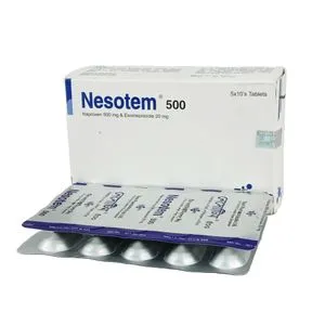 Nesotem 500