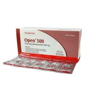 Open 500