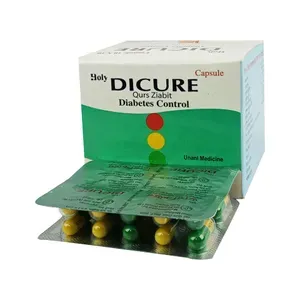 Holy Dicure (10)