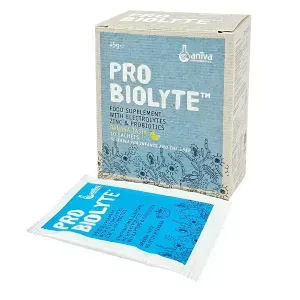 Aniva Pro Biolyte with Electrolytes, Zinc & Probiotics Banana Taste Sachets 10s